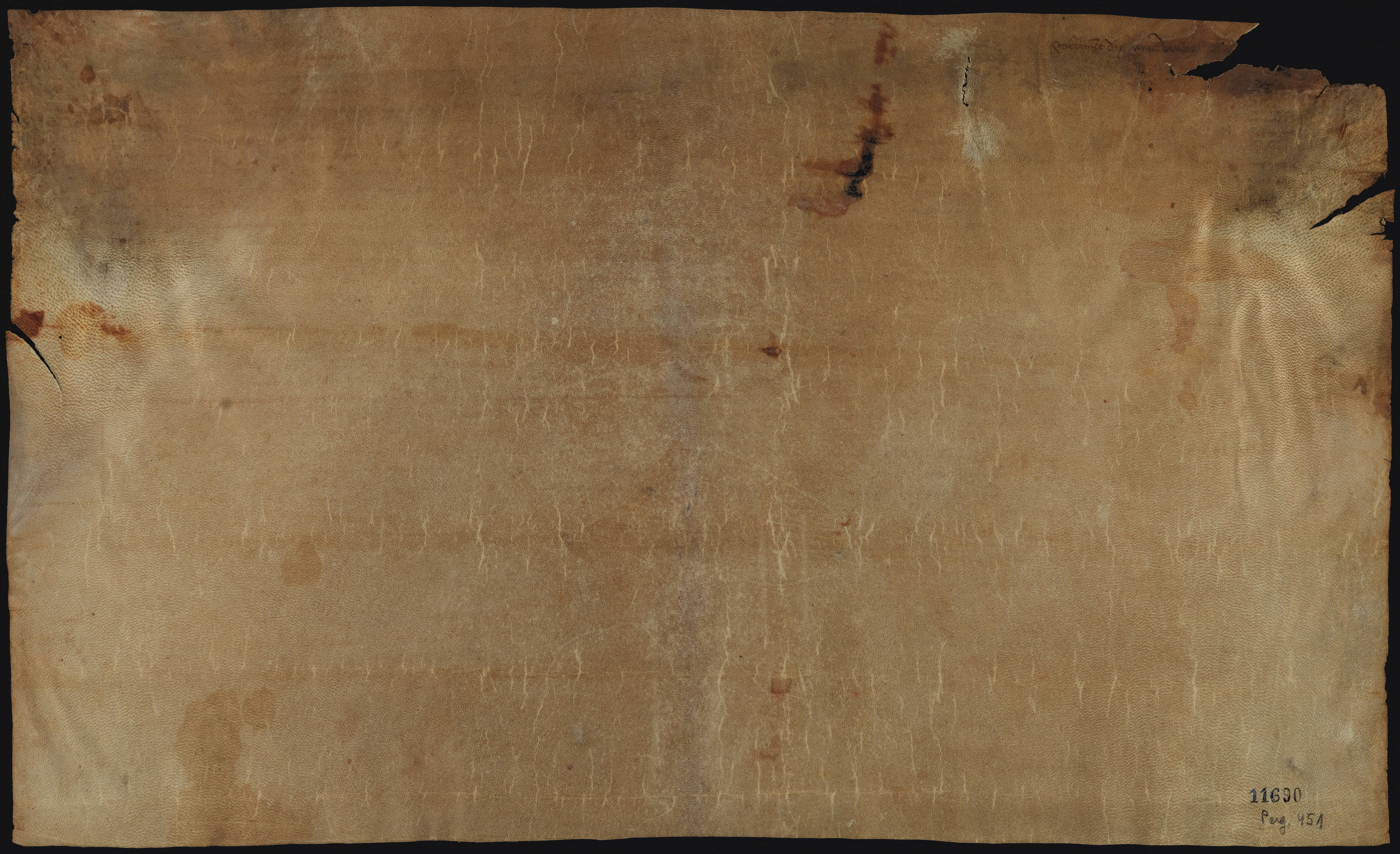 Verso 1487 Eufrasina