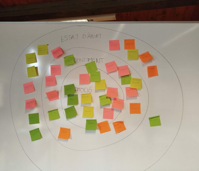 Taller de emociones 04